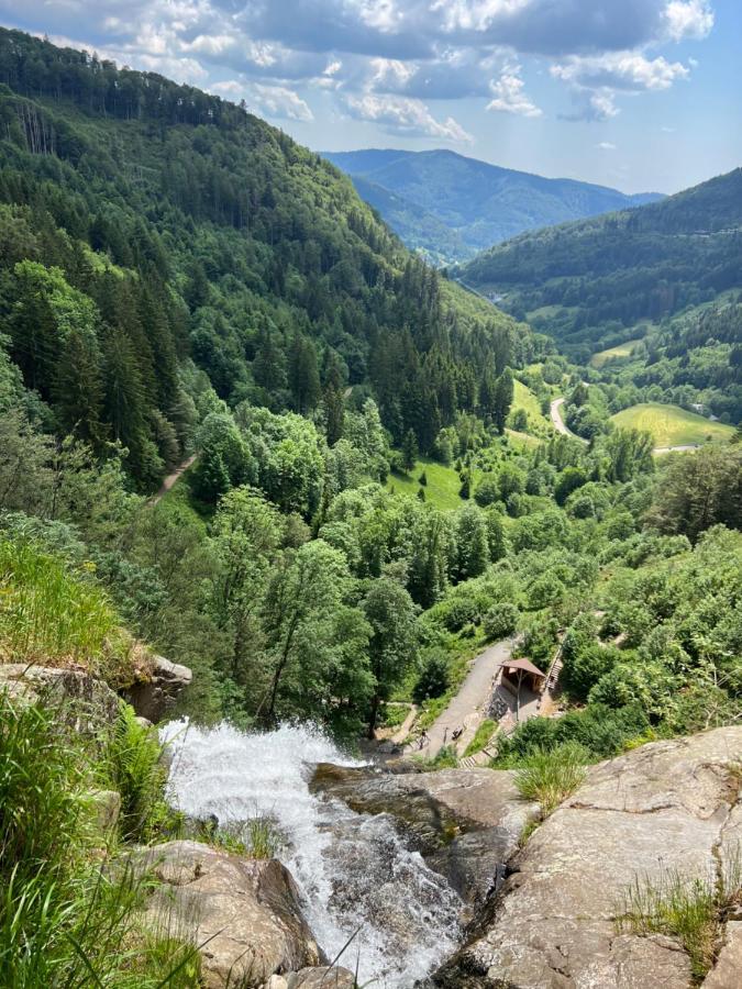 Bollenlodge - Ferienwohnung Mit Ausblick Und Top Lage Todtnau Luaran gambar
