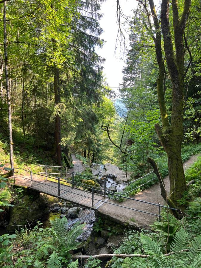 Bollenlodge - Ferienwohnung Mit Ausblick Und Top Lage Todtnau Luaran gambar